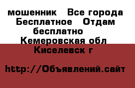 мошенник - Все города Бесплатное » Отдам бесплатно   . Кемеровская обл.,Киселевск г.